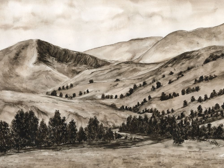 Picture of SEPIA-TONED HILLS II