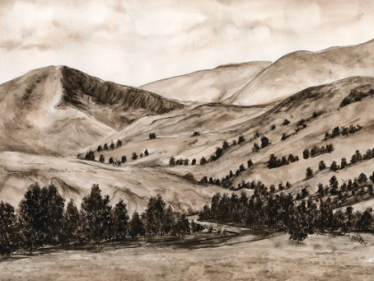 Picture of SEPIA-TONED HILLS II