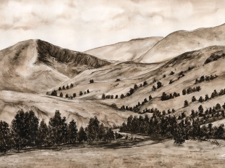 Picture of SEPIA-TONED HILLS II