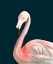 Picture of CUSTOM WATERCOLOR FLAMINGO