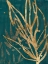 Picture of BURNISHED JUNGLE LEAVES II