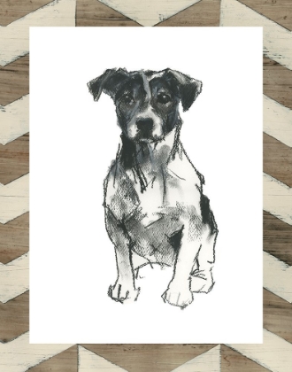 Picture of CUSTOM DOGGY EXPRESSIONS I