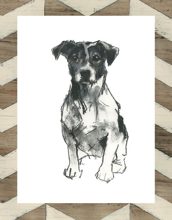 Picture of CUSTOM DOGGY EXPRESSIONS I