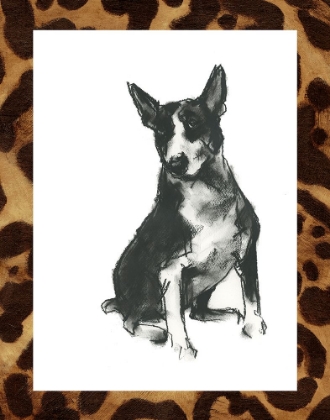 Picture of CUSTOM DOGGY EXPRESSIONS II