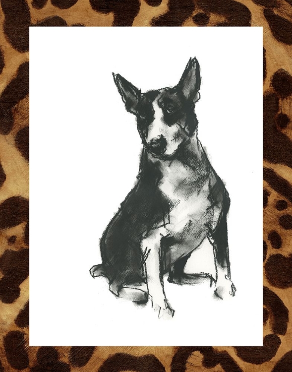 Picture of CUSTOM DOGGY EXPRESSIONS II