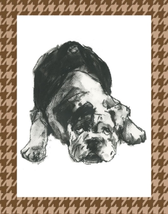 Picture of CUSTOM DOGGY EXPRESSIONS III