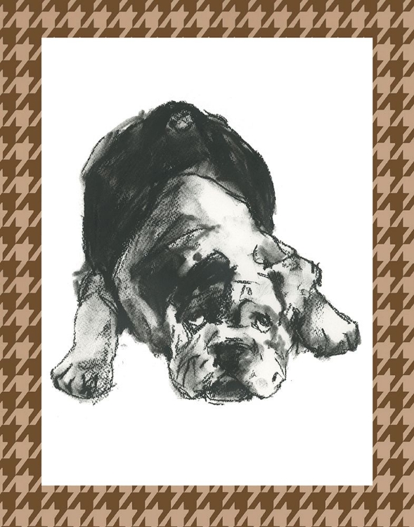 Picture of CUSTOM DOGGY EXPRESSIONS III