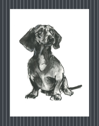 Picture of CUSTOM DOGGY EXPRESSIONS IV