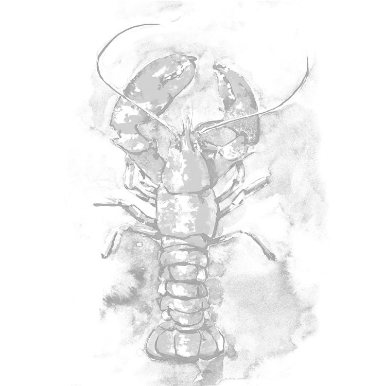 Picture of CUSTOM AQUATIC LOBSTER II