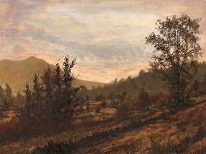 Picture of CUSTOM AMBER BASIN II