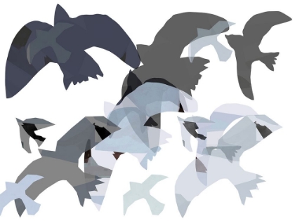 Picture of COLLAGED BIRDS III