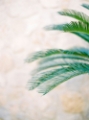 Picture of PALM LEAVES II