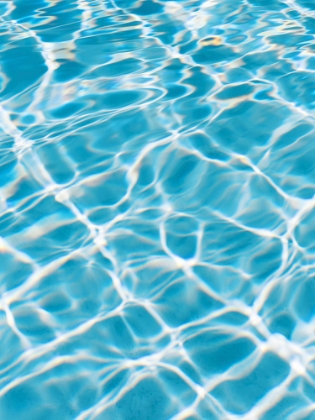 Picture of REFLECTIONS I