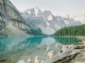 Picture of MORAINE LAKE REFLECTION