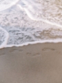 Picture of BEACH FOOTPRINTS I