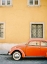 Picture of ORANGE BUG