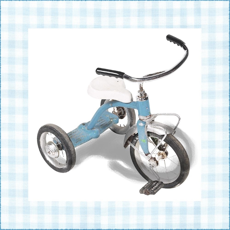 Picture of COLINS TRICYCLE