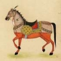 Picture of HORSE FROM INDIA I