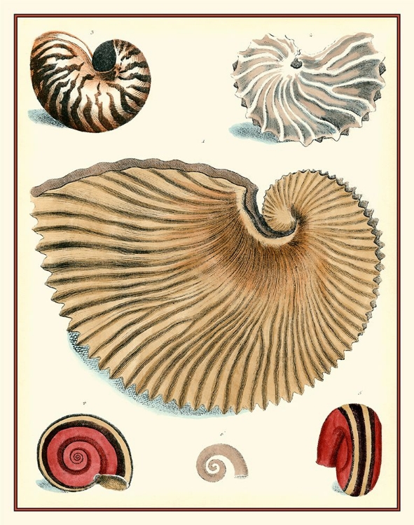 Picture of STUDIES IN SYMMETRY II