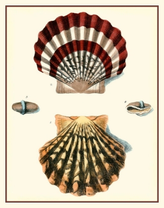 Picture of STUDIES IN SYMMETRY IV