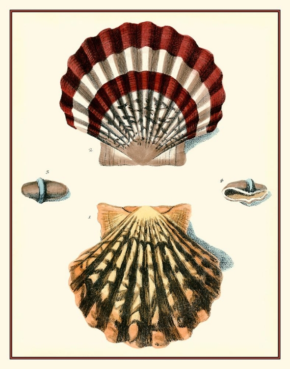 Picture of STUDIES IN SYMMETRY IV