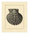 Picture of VINTAGE SHELL II