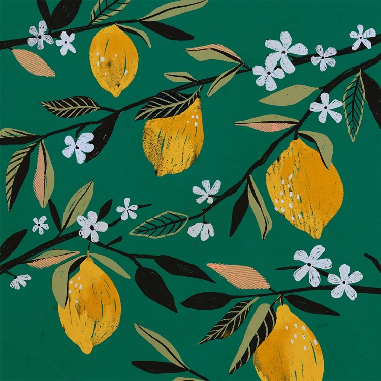 Picture of LEMON BLOSSOM III