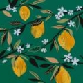 Picture of LEMON BLOSSOM III