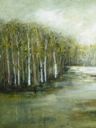 Picture of TRANQUIL WATERS I