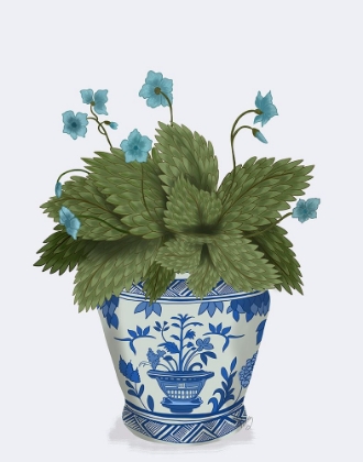 Picture of PLANTER WITH BLUE FLOWER PLANT