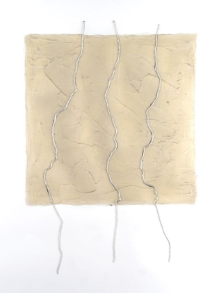 Picture of DIVIDED PLOT I