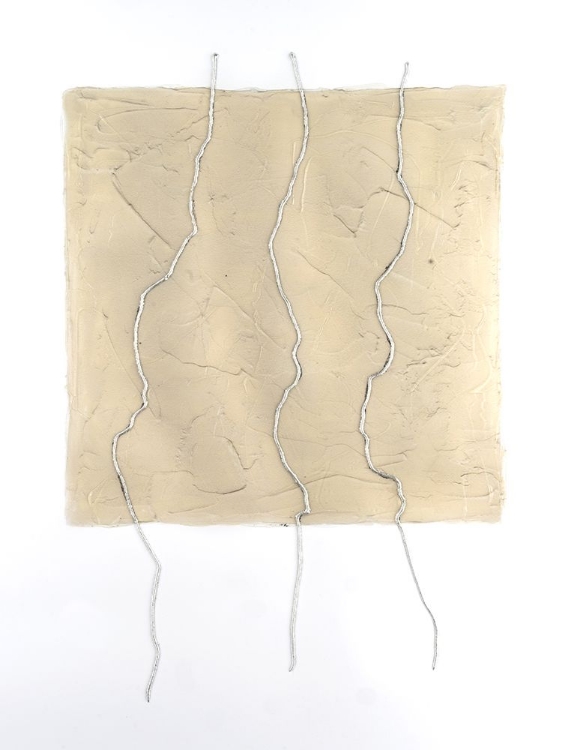 Picture of DIVIDED PLOT I