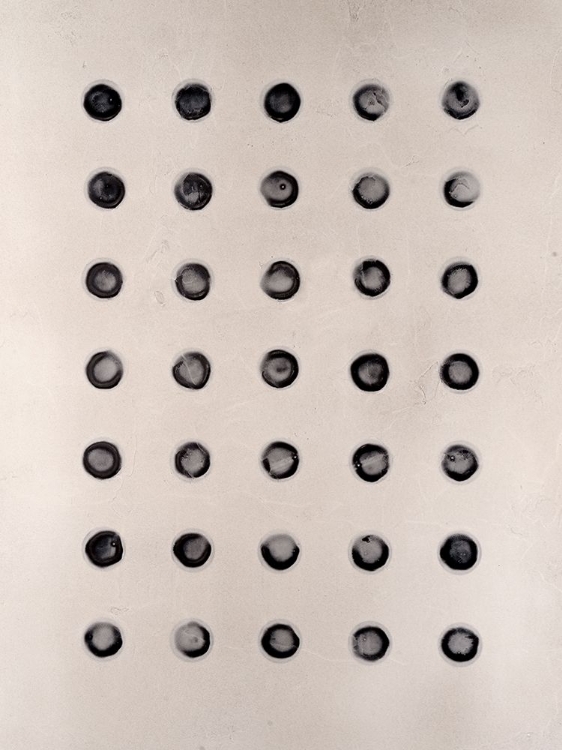 Picture of TEXTURED STIPPLE I