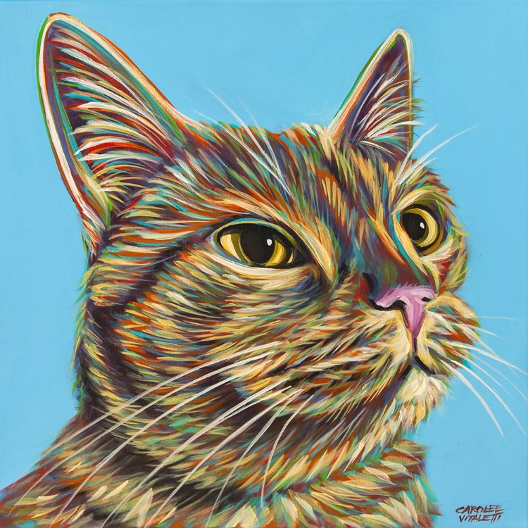 Picture of RAINBOW CAT