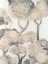 Picture of DEWDROP MAPLE II