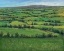 Picture of IRELAND GREEN I