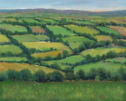 Picture of IRELAND GREEN II