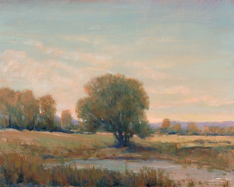 Picture of TRANQUIL MOMENTS I