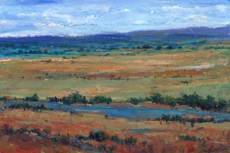 Picture of I CAN SEE FOR MILES I