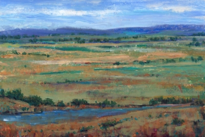 Picture of I CAN SEE FOR MILES II