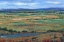 Picture of I CAN SEE FOR MILES II