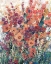 Picture of SUNLIT FLOWERS I