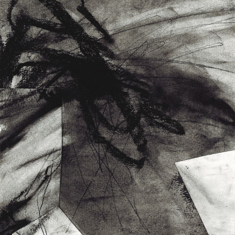 Picture of CHARCOAL STUDY I