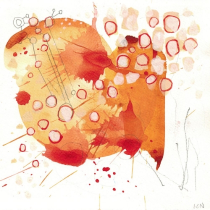 Picture of ORANGE WILDFLOWERS