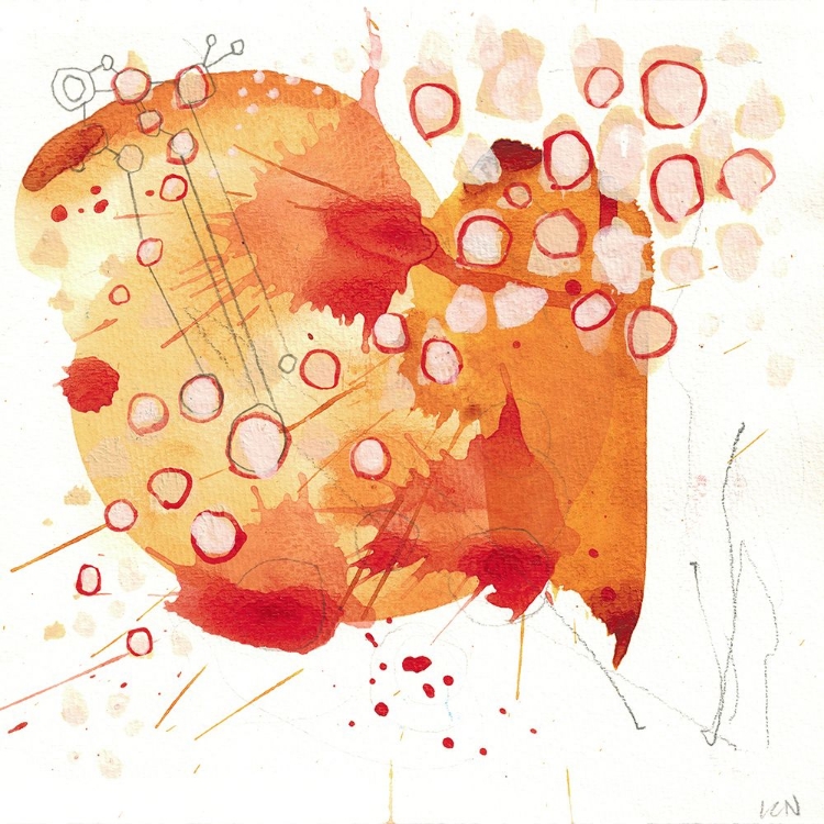 Picture of ORANGE WILDFLOWERS