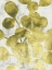 Picture of GREEN LEAF SHIMMER I