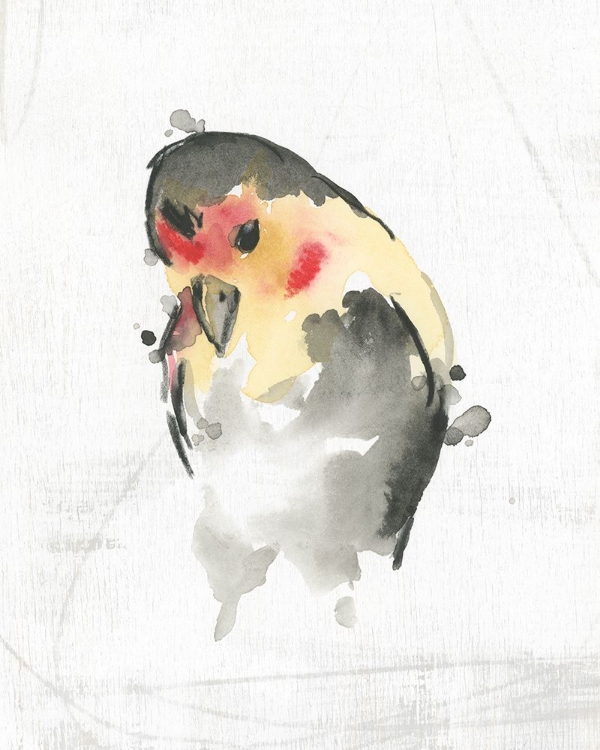 Picture of ABSTRACT SONGBIRD STUDY II