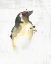 Picture of ABSTRACT SONGBIRD STUDY III