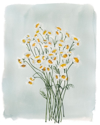 Picture of CHAMOMILE BOUQUET I