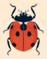 Picture of BEETLE BUG V